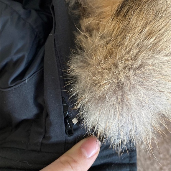 Canada Goose Rossclair - Picture 5 of 5